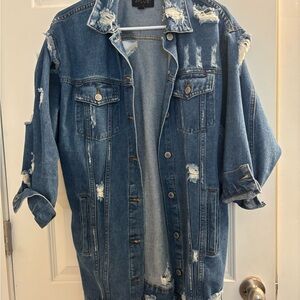 Audrey Distressed Blue Denim Jacket